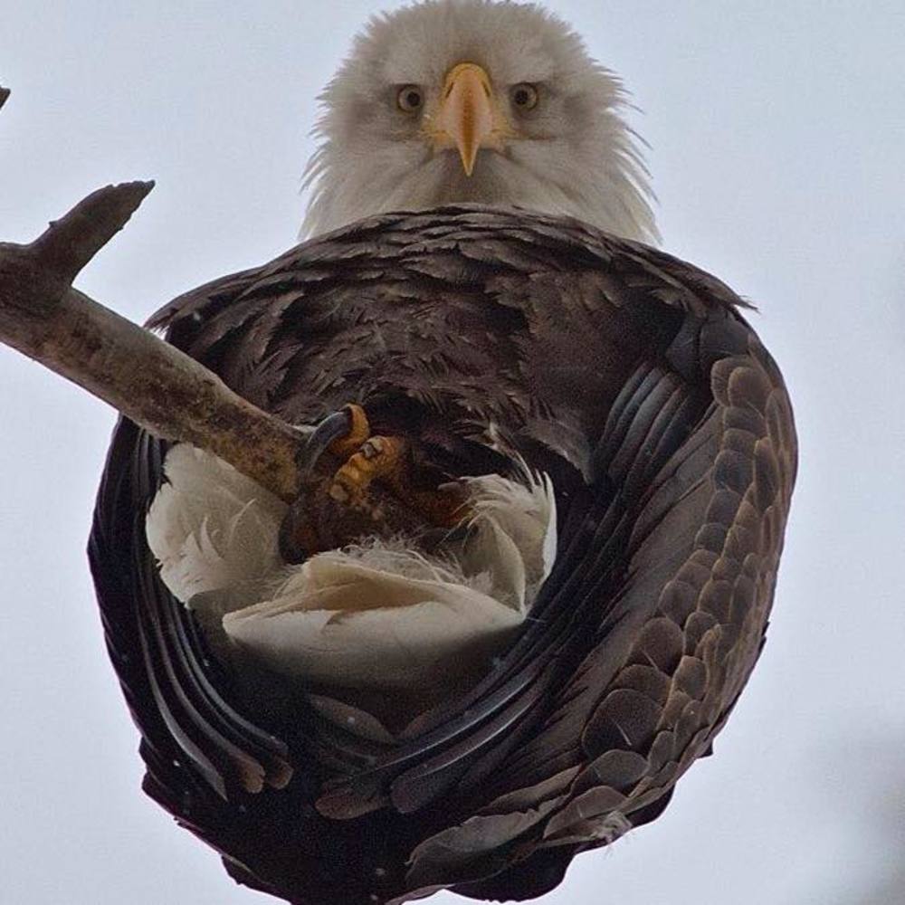 Meet your Posher, Lynn